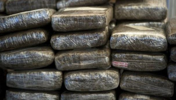 Over 10 kg of ganja seized, two held in Mangaluru