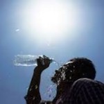Brutal heatwave Death toll climbs to 143 actual numbers could be high