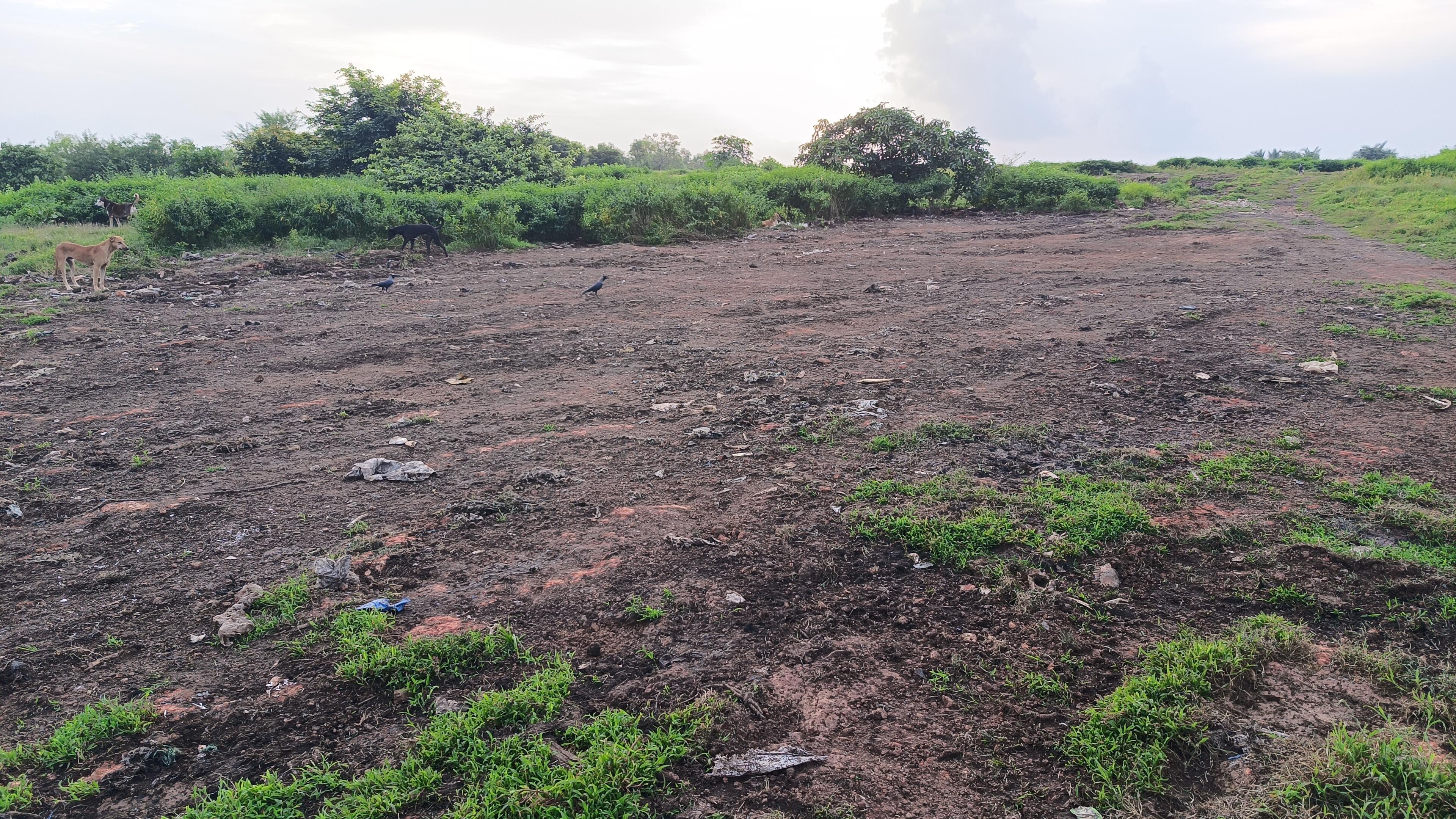 Animal bones on Maqdoom Colony hill in Bhatkal: Old photos circulated to stoke communal tensions