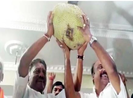 O Panneerselvam Gets 'Jackfruit' As Symbol To Contest Lok Sabha Polls