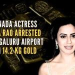 DRI makes another arrest in gold smuggling case linked to actress Ranya Rao