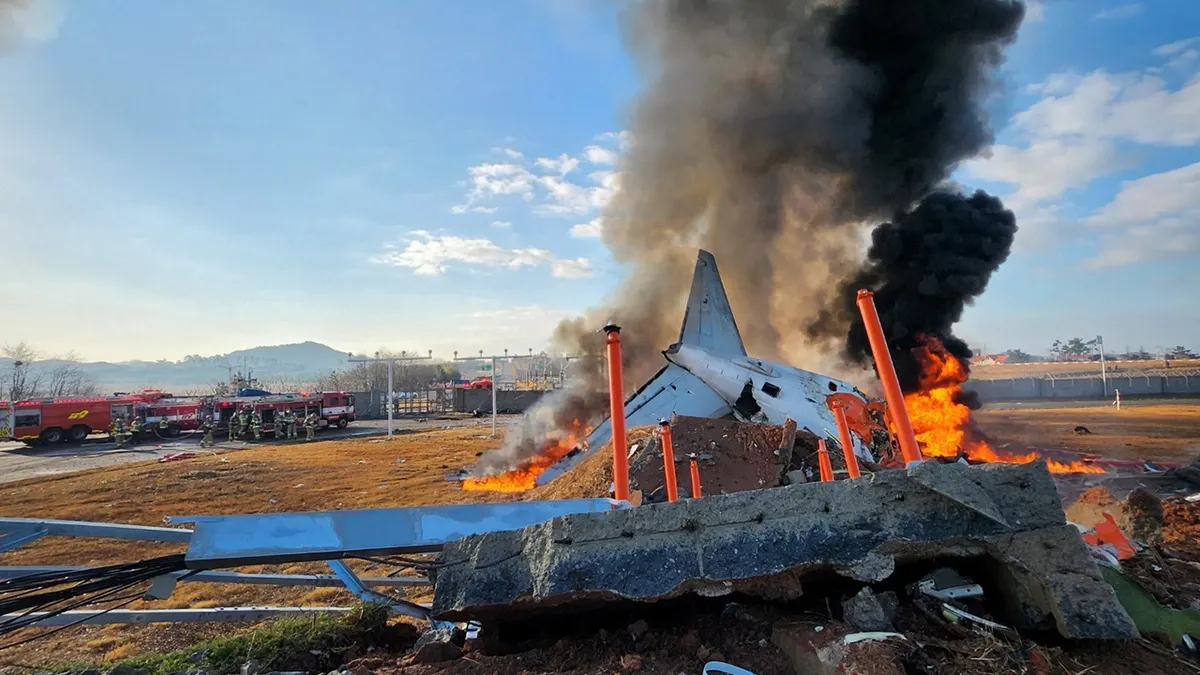 At Least 85 Dead as Plane Catches Fire After Skidding Off Runway at South Korea's Muan Airport