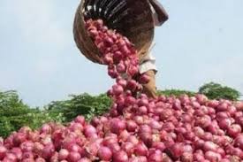 After Over 4-Month Ban, Centre Allows Onion Exports To 6 Neighbouring Countries