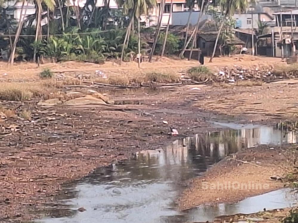 bhatkal-sarabi-river-5