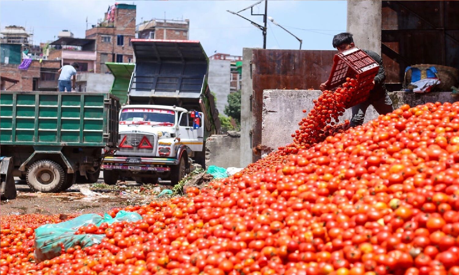 TN couple held for hijacking truck carrying 2.5 tonnes of tomato in Karnataka