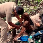 Woman found chained to tree in forest near Mumbai; police launch investigation